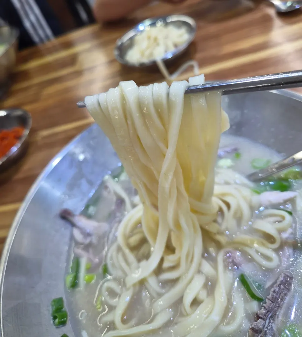 Kalguksu noodles lifted up together with chicken meat