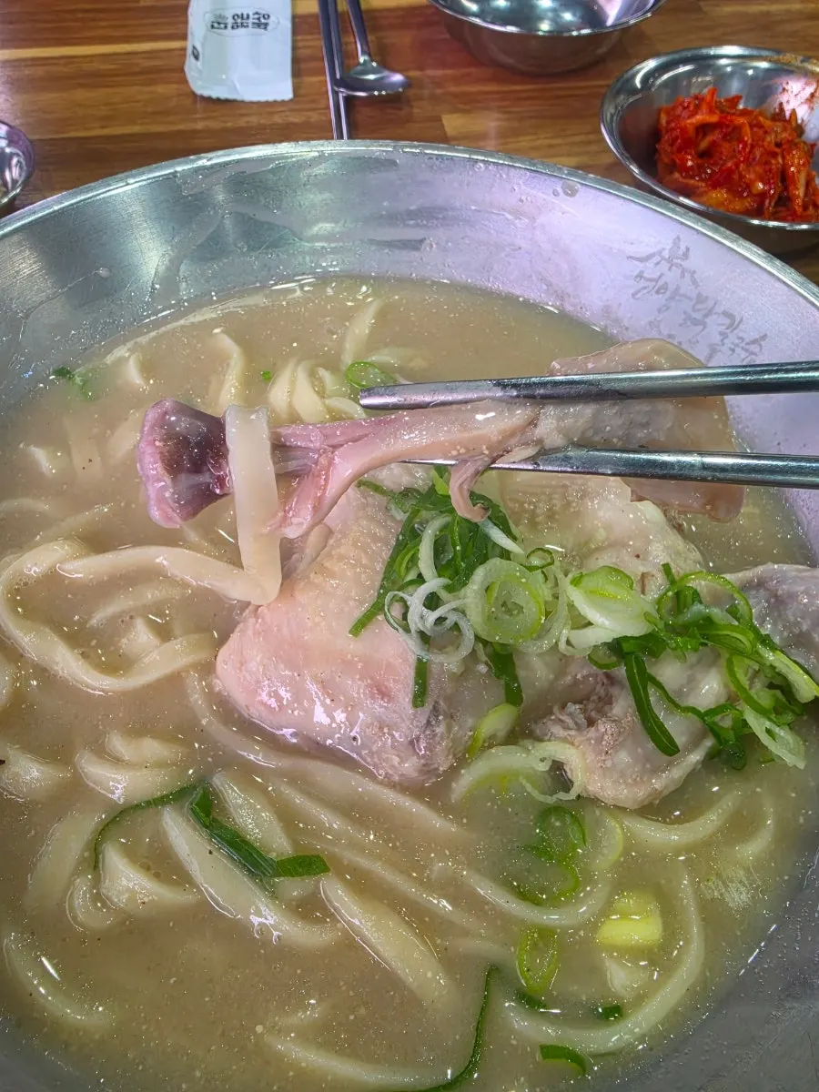 닭 반 마리가 들어간 닭칼국수 한 그릇