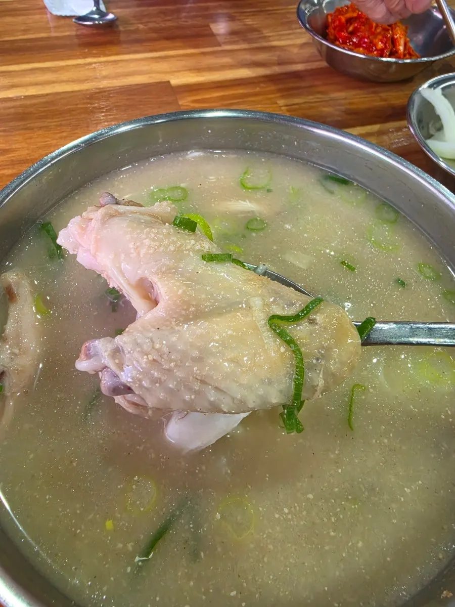 닭 반 마리가 담긴 닭곰탕 국물