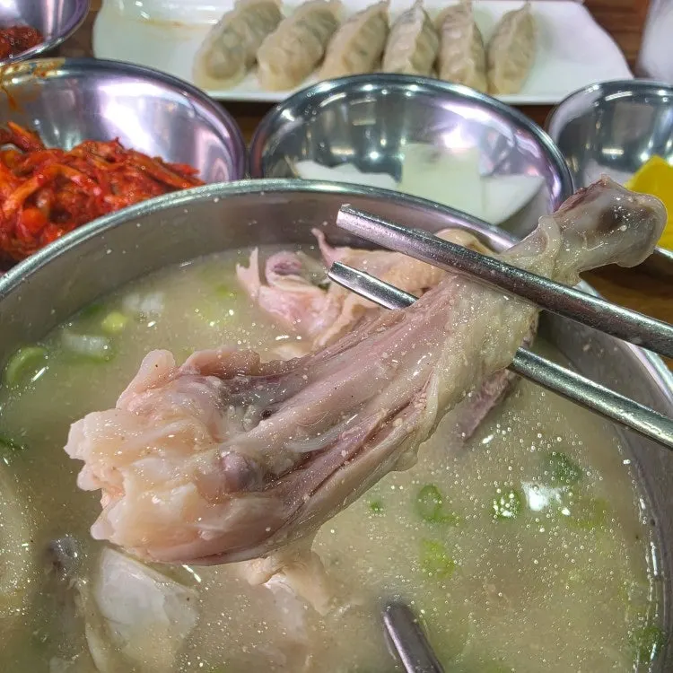 닭칼국수와 닭곰탕이 함께 차려진 식사 상