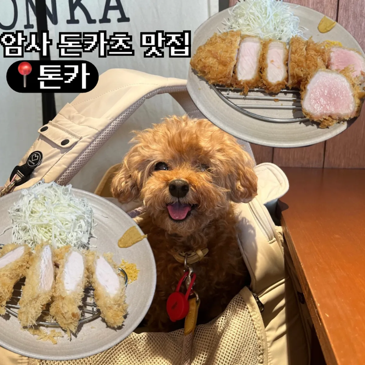 암사동 돈카츠 맛집 톤카 대표 사진