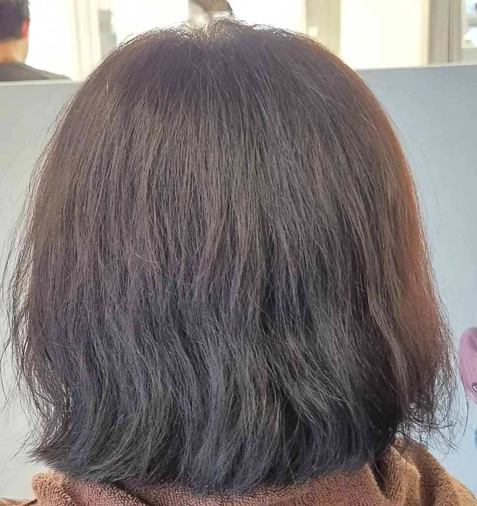 Dry hair before the treatment