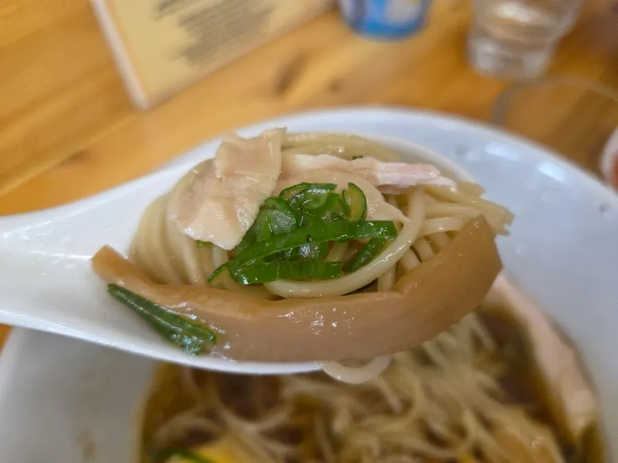 Close-up of ramen topped with garnishes