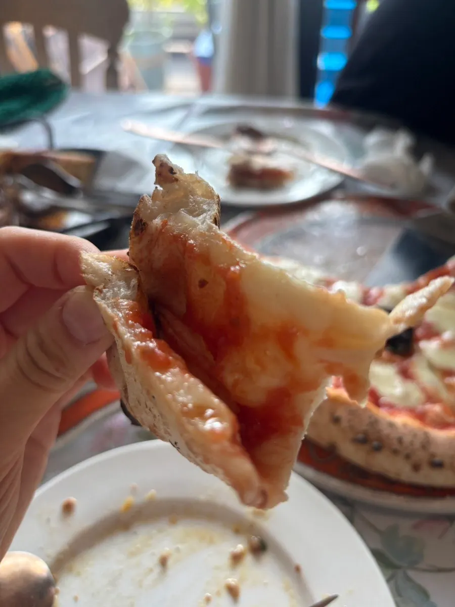 Margherita pizza topped with basil and mozzarella