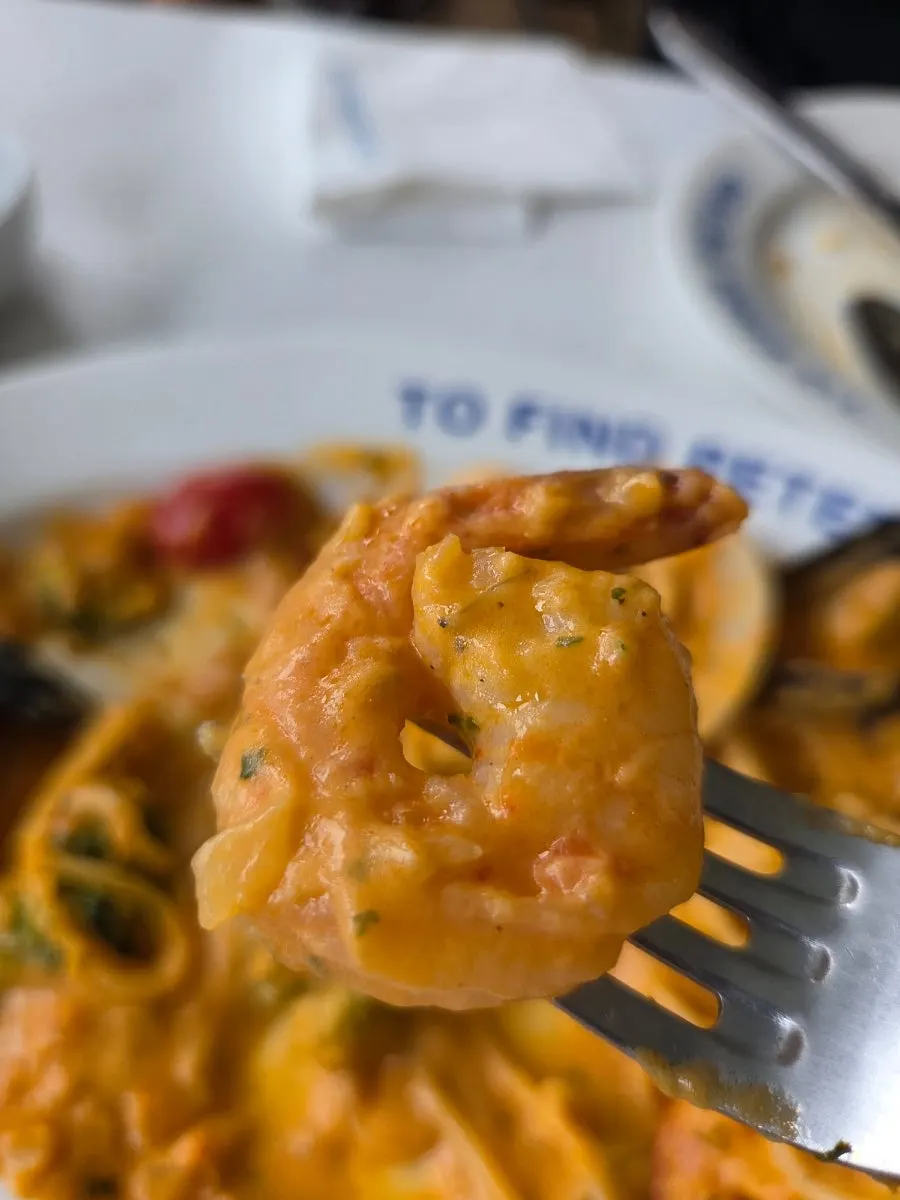 Pasta noodles coated in rosé sauce