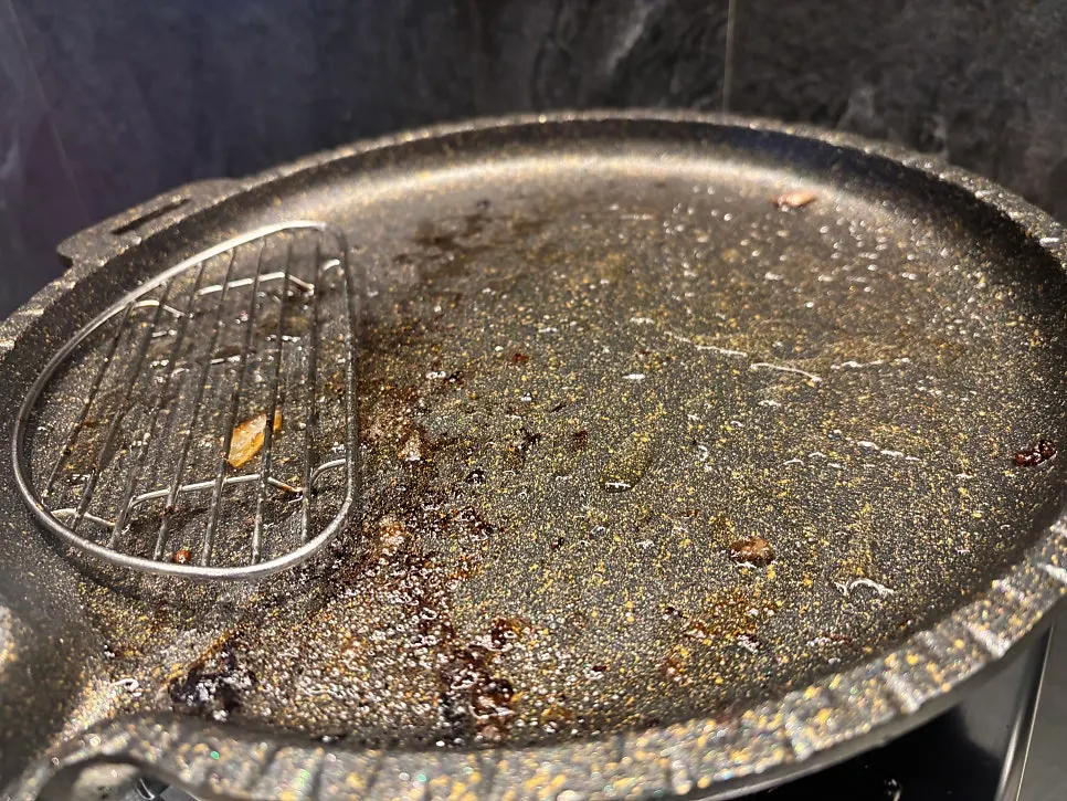 Ugojip's grill plate and dishes cleaned completely empty