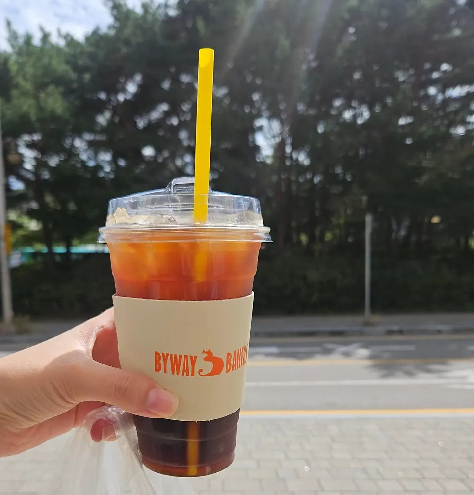 The takeout iced americano