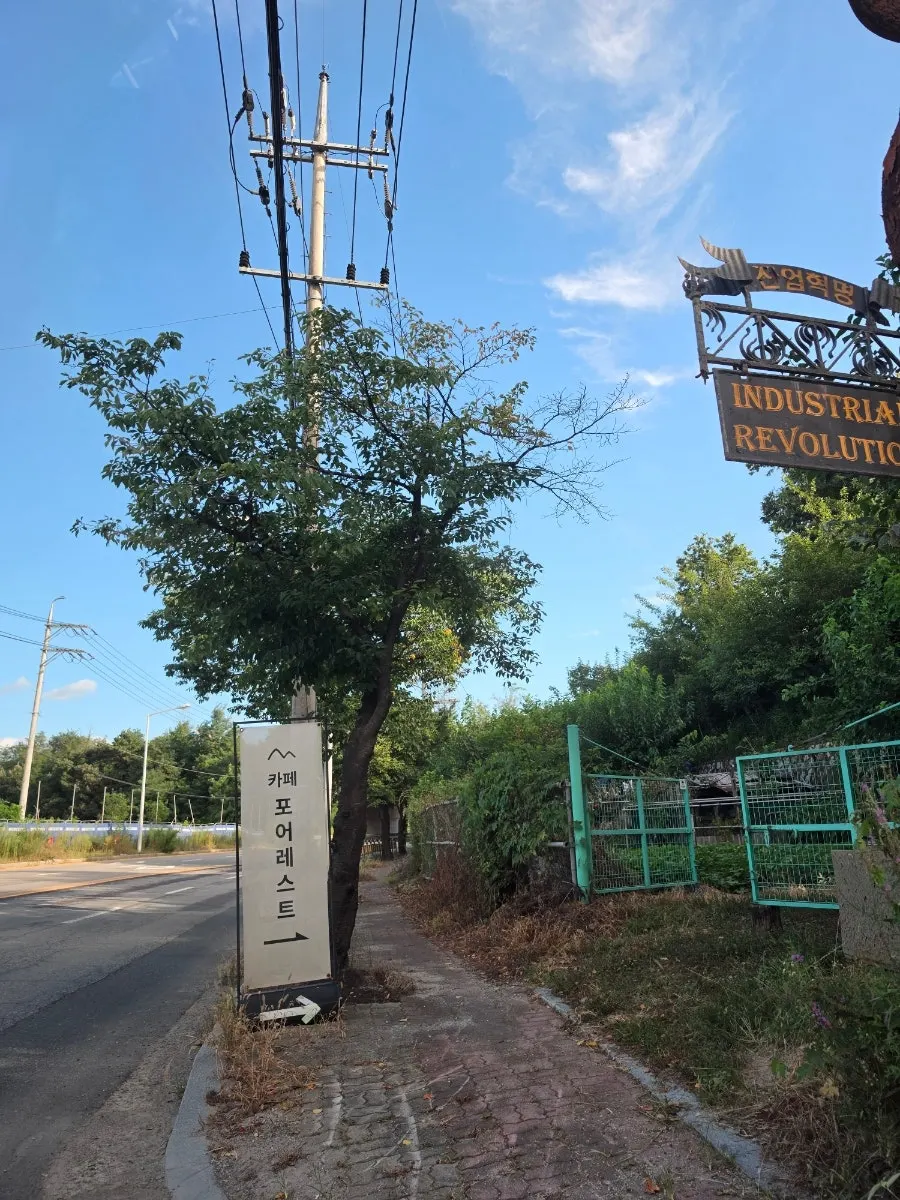 울창한 나무에 둘러싸인 포어레스트 외관