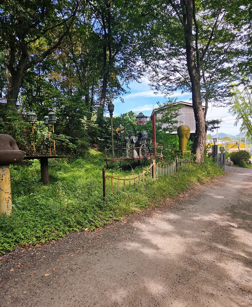 Forerest along a quiet road