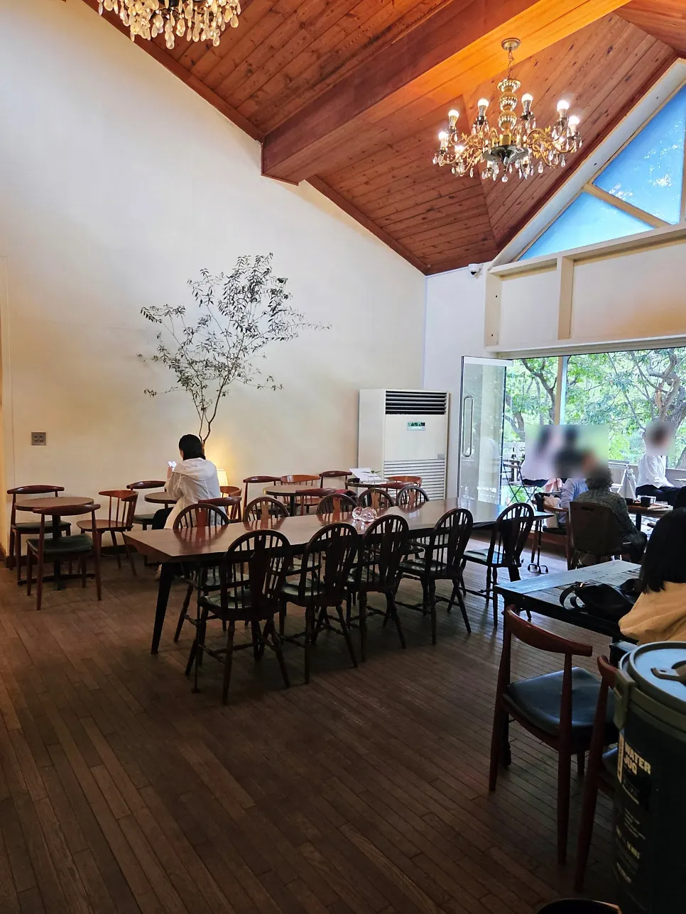 Pet-friendly café information area