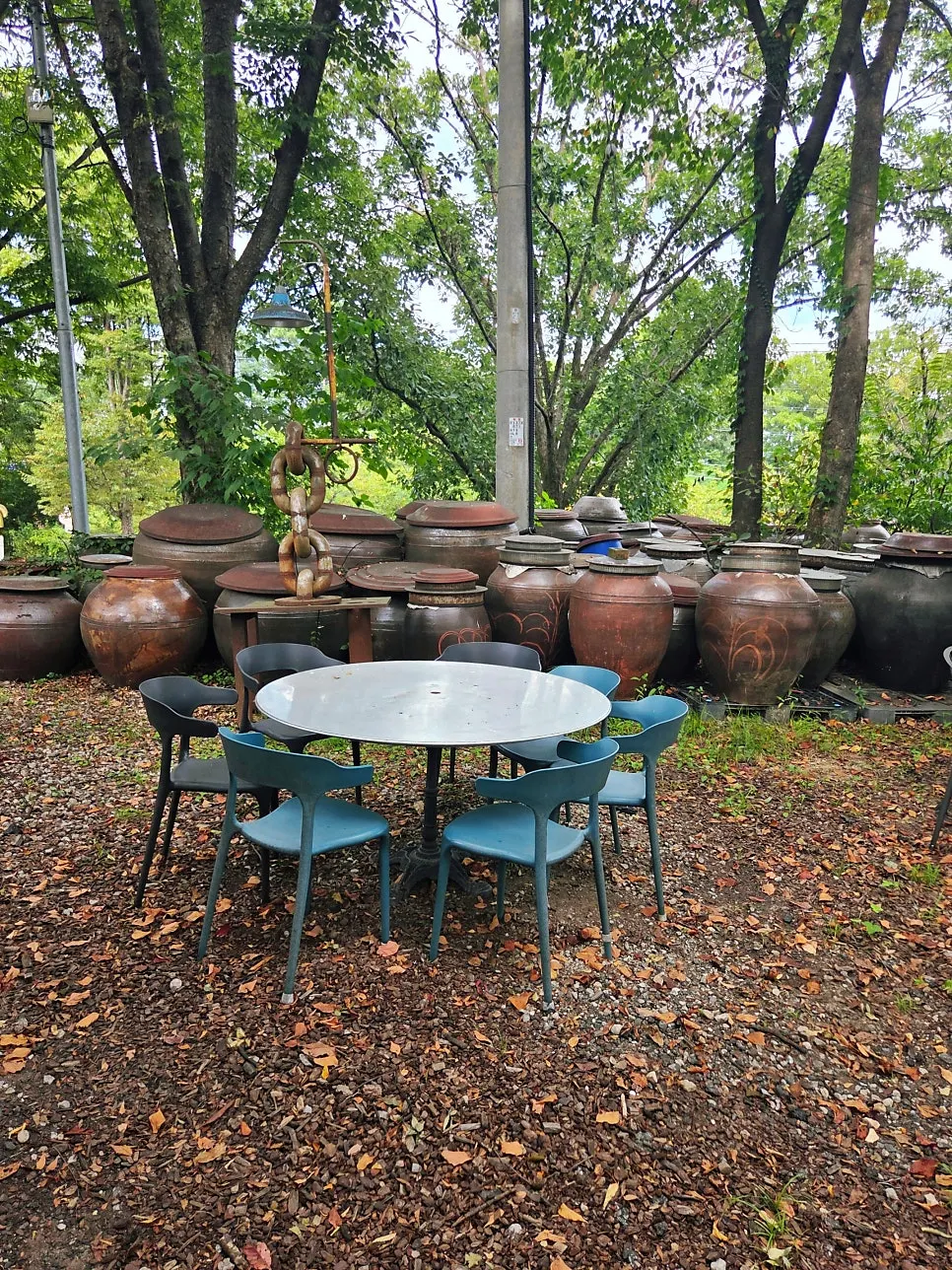 A relaxing café break with forest scenery