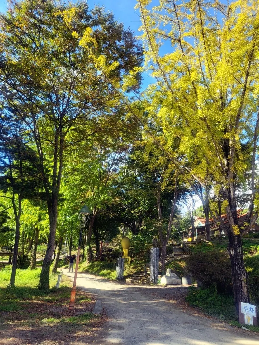 Outdoor tables among the trees