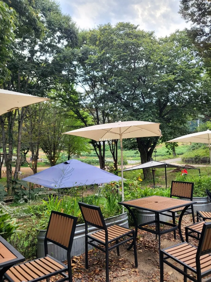 Outdoor seating facing the forest