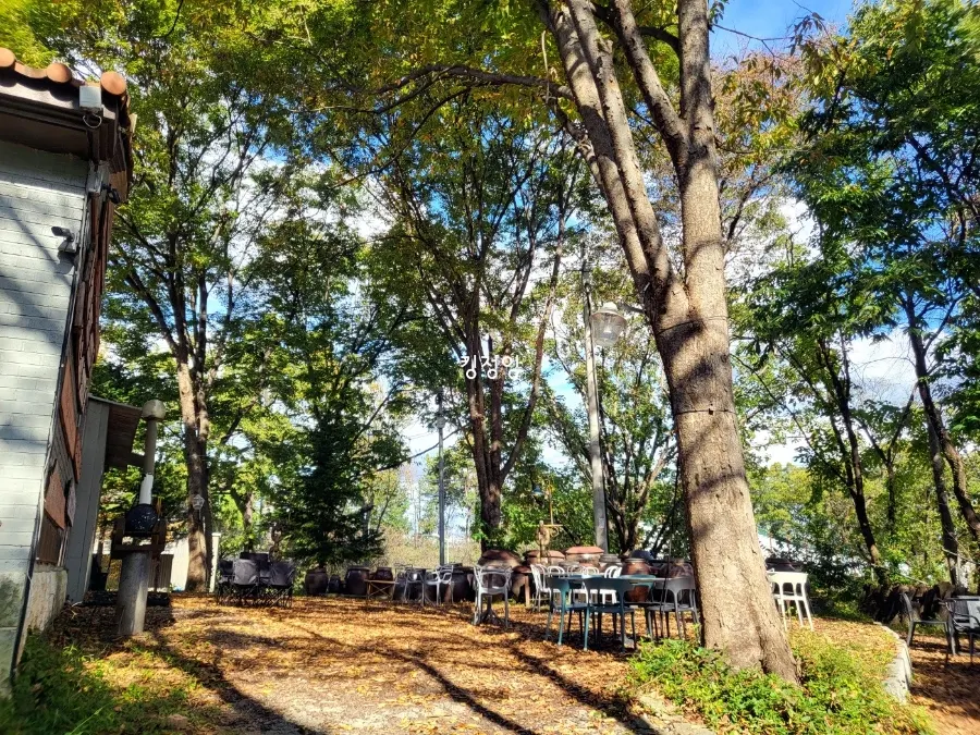 Wide outdoor area with many tables