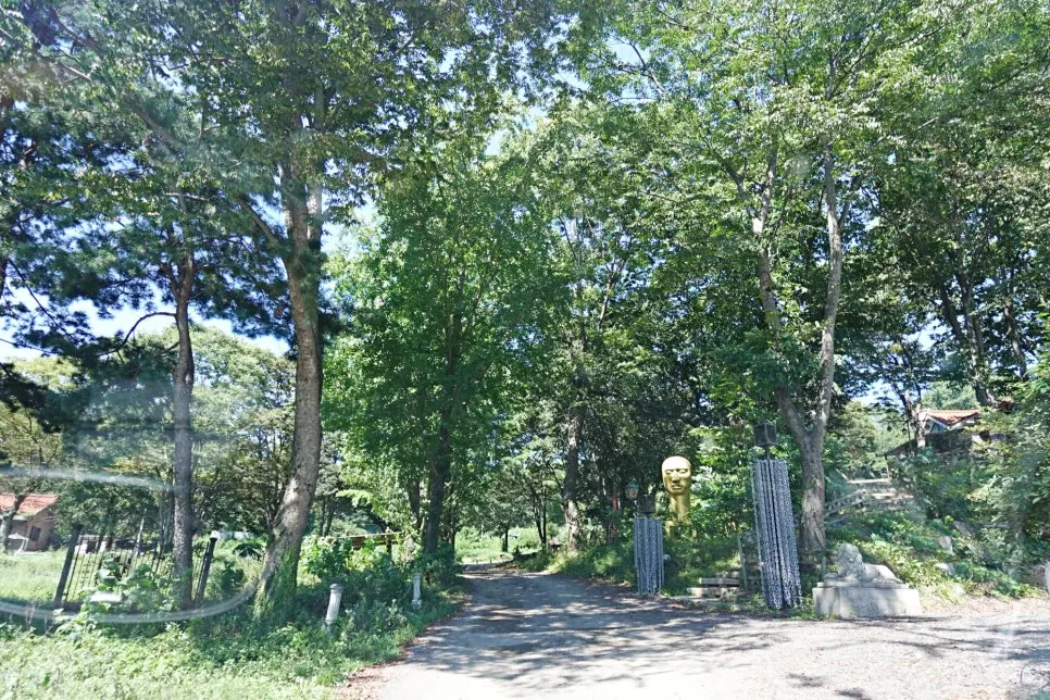나무 사이로 보이는 카페