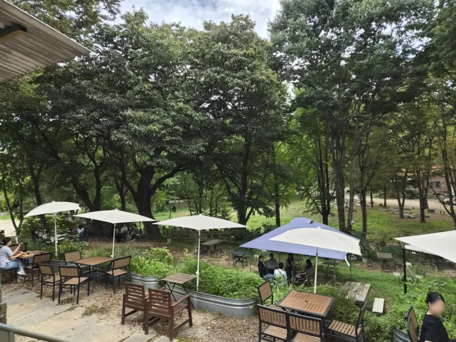 자연과 어우러진 포어레스트 공간