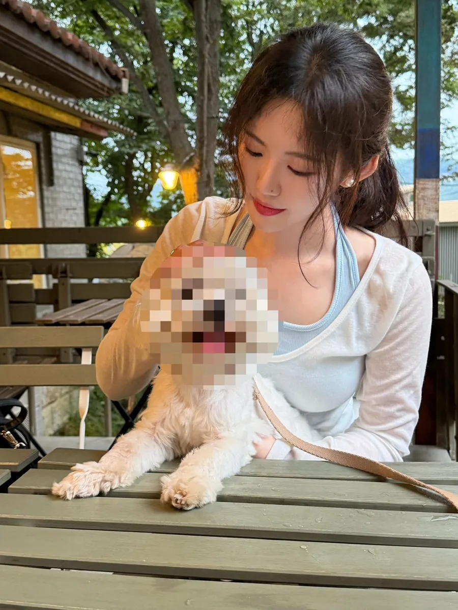 자연 경관을 배경으로 한 카페 주변