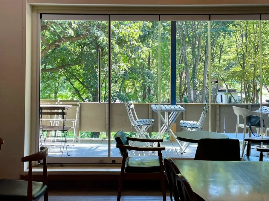 Forest-view café space at Forerest