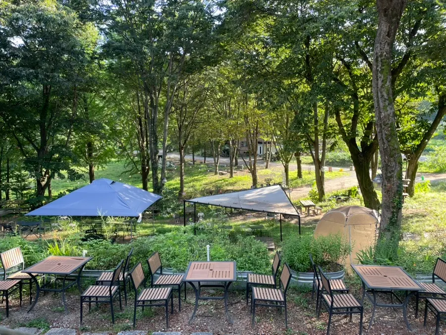 Forerest parking lot and café surroundings