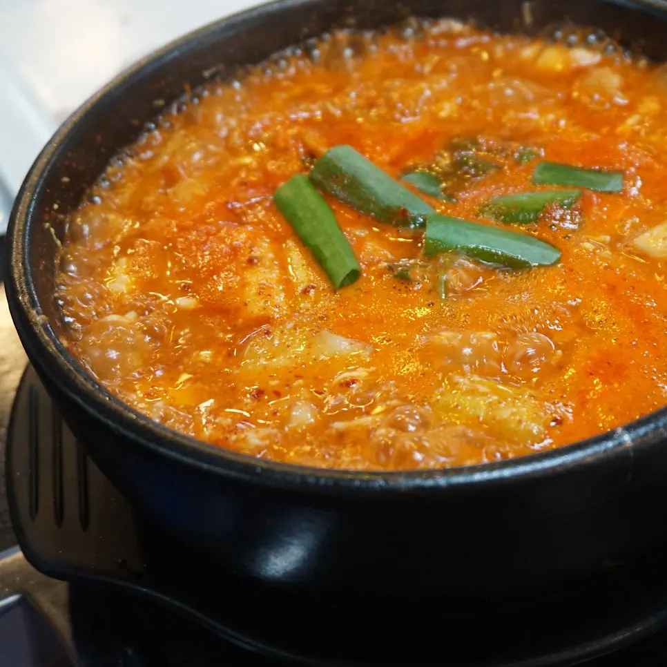 순두부수제비와 밥 한 공기