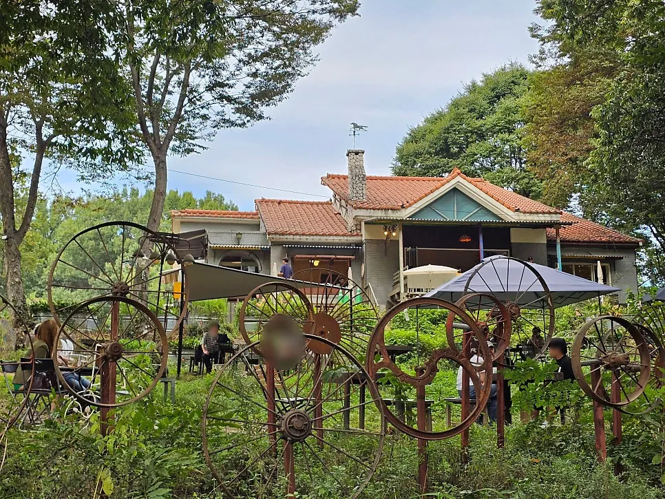 Exterior of Forerest café surrounded by grass and trees