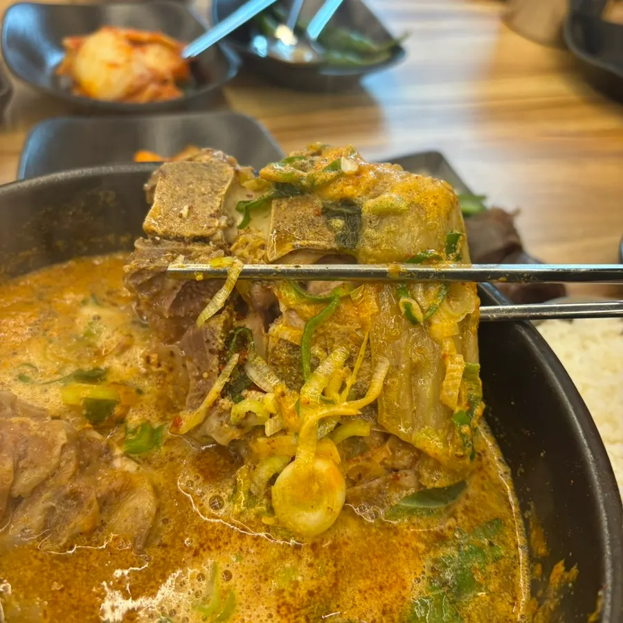 Hangover soup with a large pork bone
