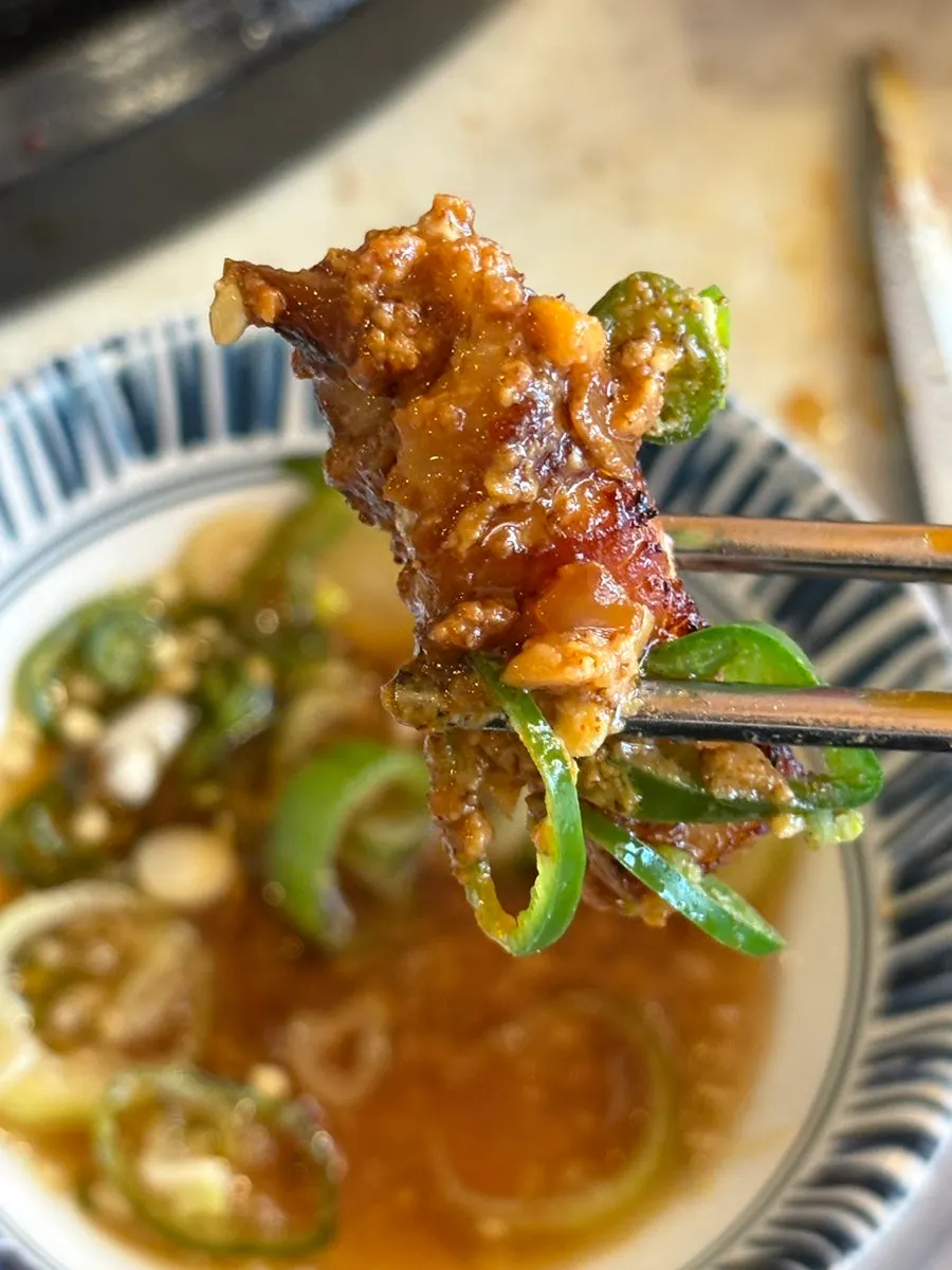 Meat sauce with scallion and garlic