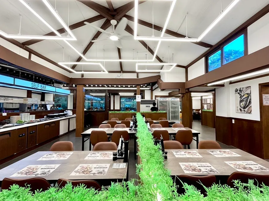 Neatly arranged dining hall tables