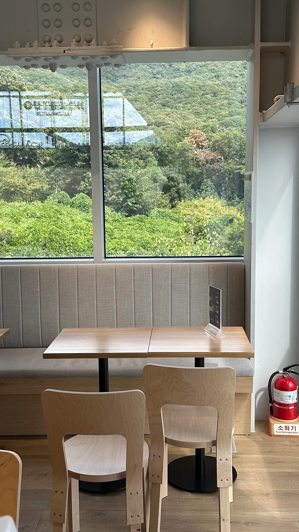 Glassville space with trees visible through full-height windows