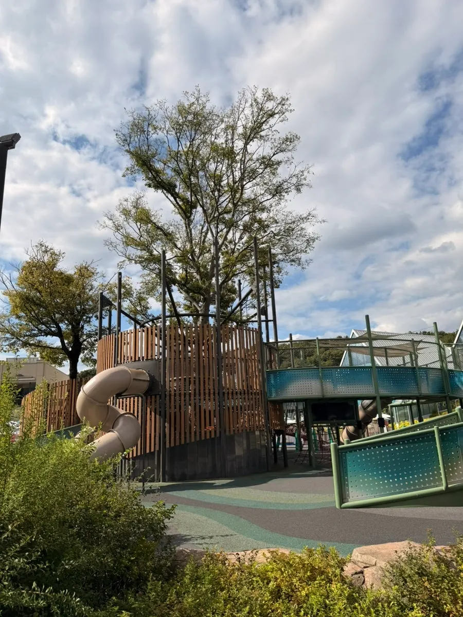 Building exterior with Outback and Shake Shack signs also visible