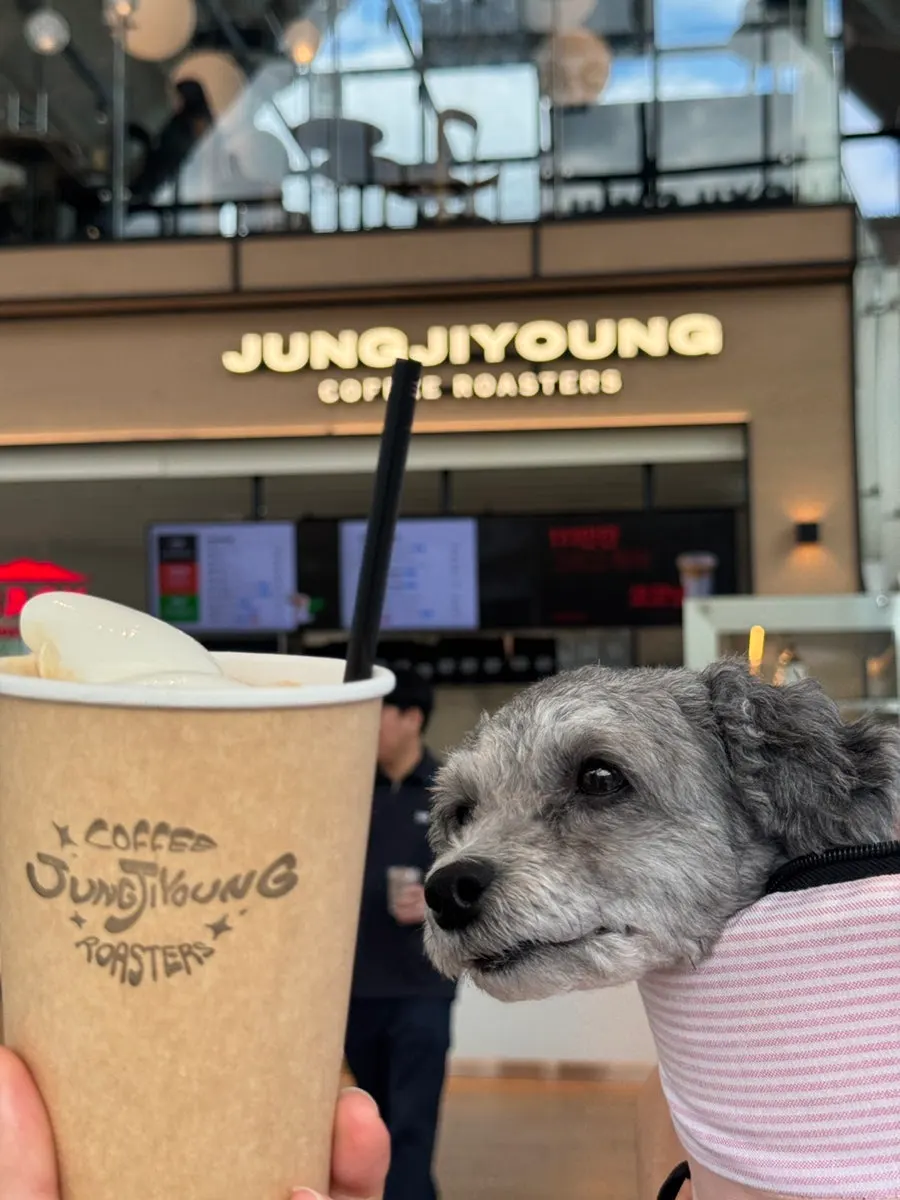 Eundan the dog visiting the café