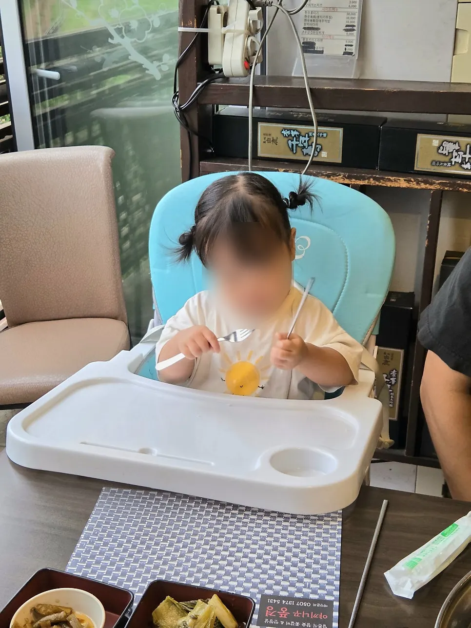 Table set with a baby chair and booster cushion