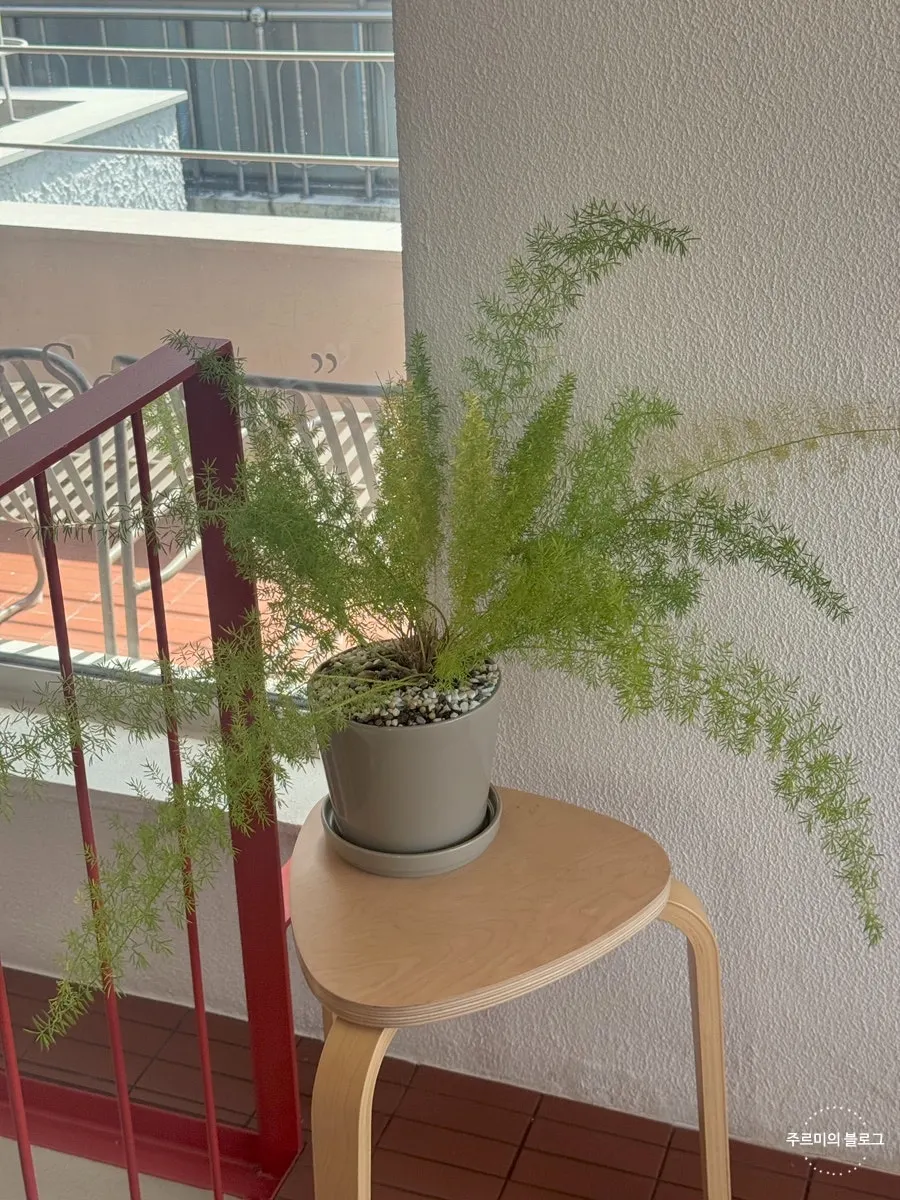 Objects in the Uisagye interior
