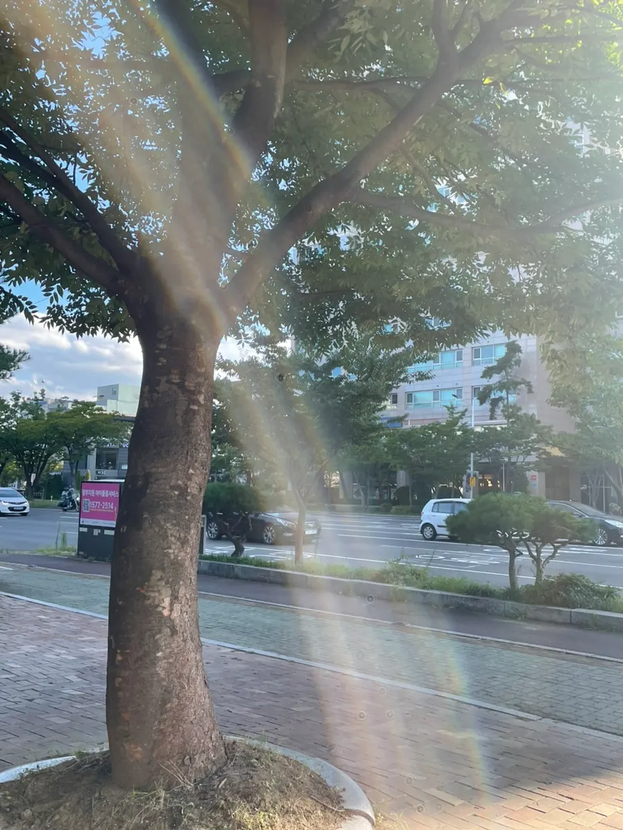 Parking information for the Baekho Tteokbang building