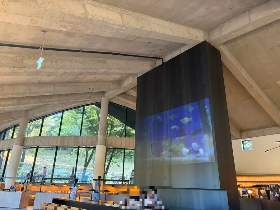 Mountains and palm trees beyond the floor-to-ceiling windows