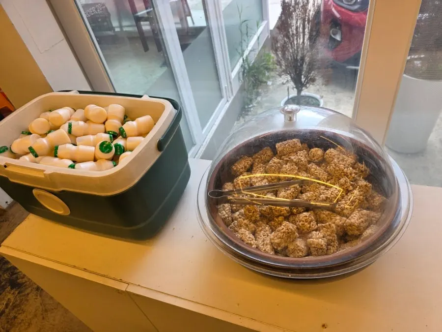 A table fully loaded with a set meal for four people