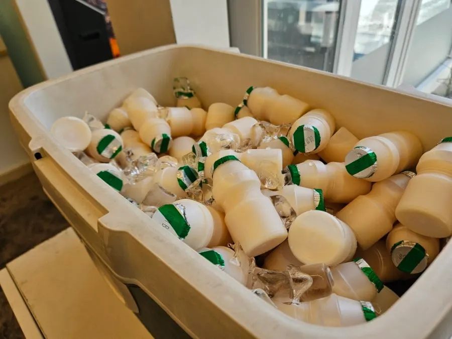 Yoghurt disajikan dengan es