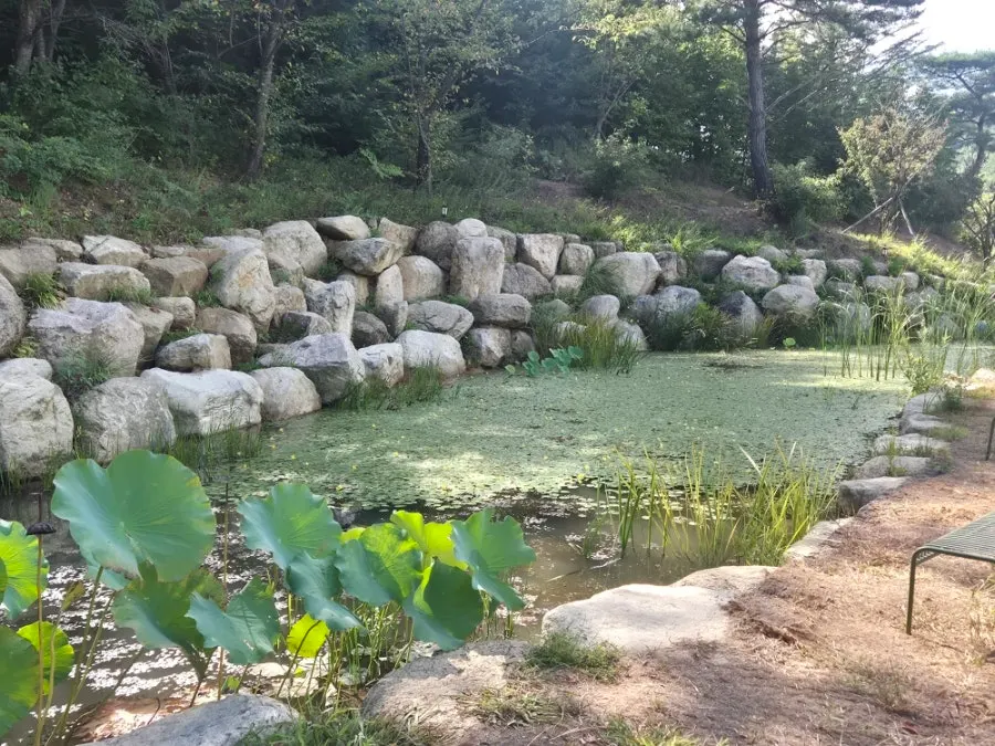 카페 먹 야외 테이블과 숲 전망