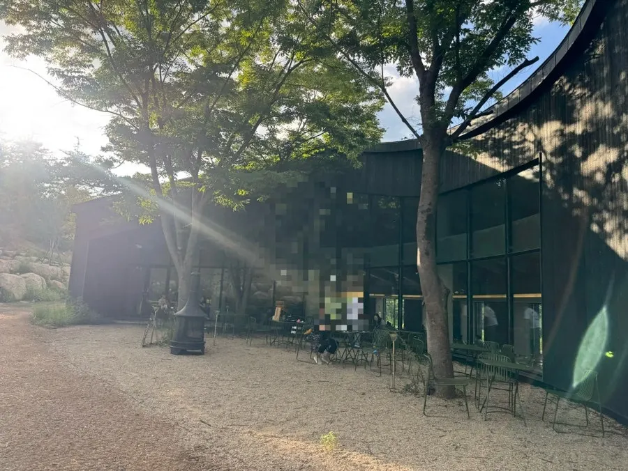 먹레몬에이드와 배 스무디, 화이트롤