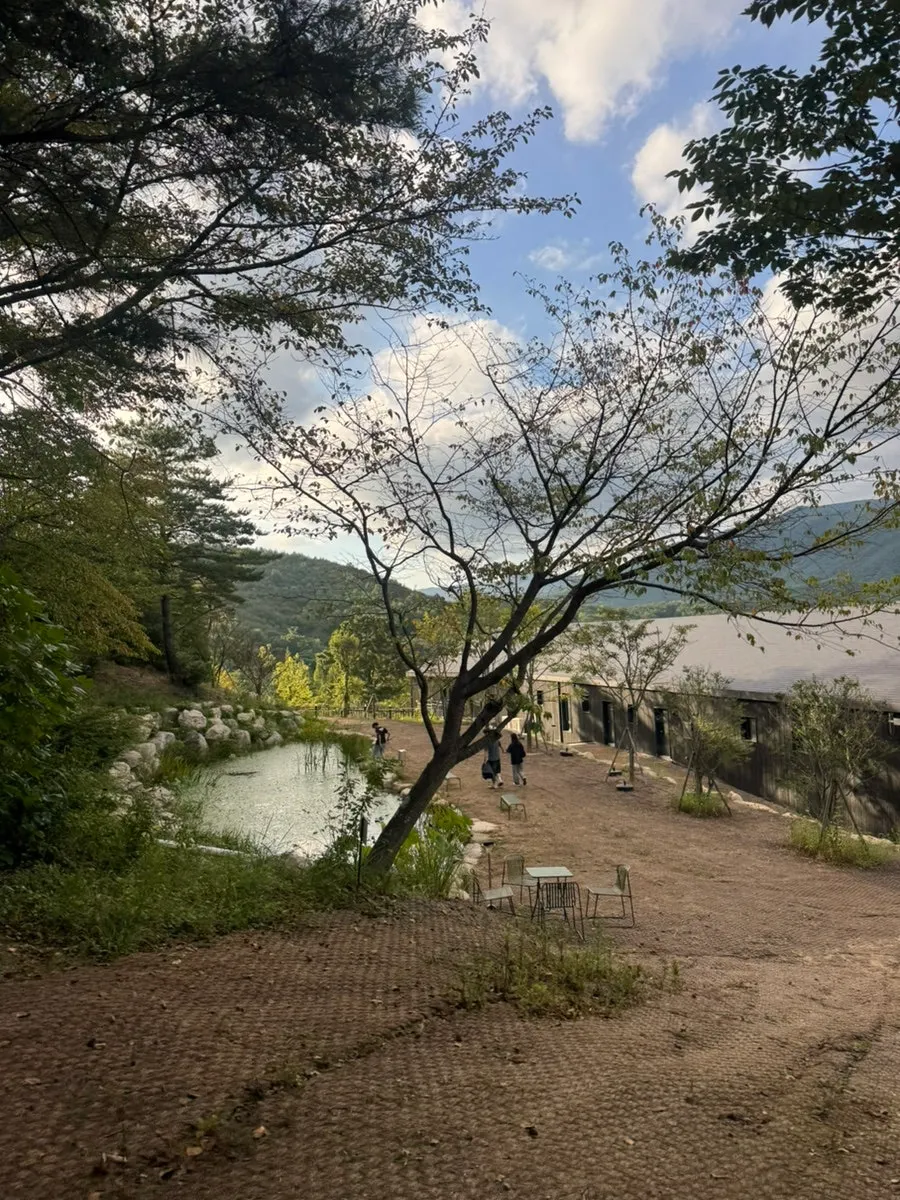 카페 먹 배 스무디 한 잔