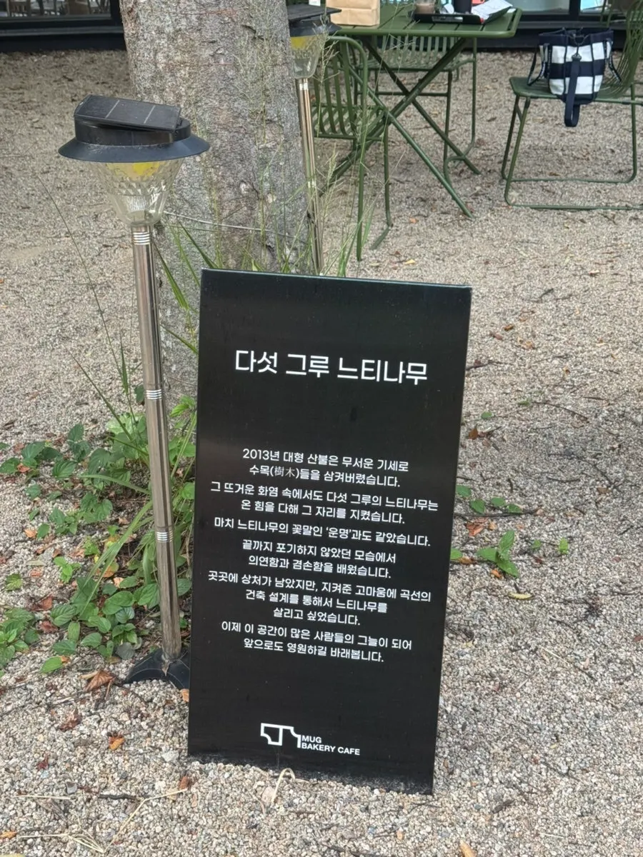 촉촉한 화이트롤 단면