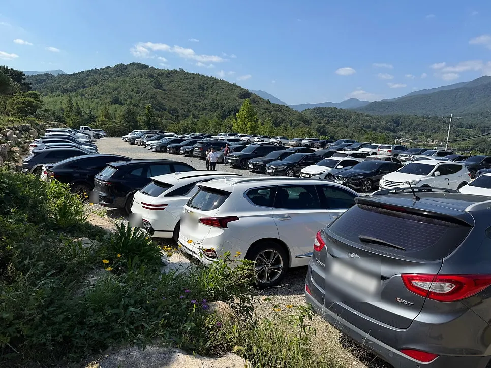 MUG's spacious free parking lot in front of the café