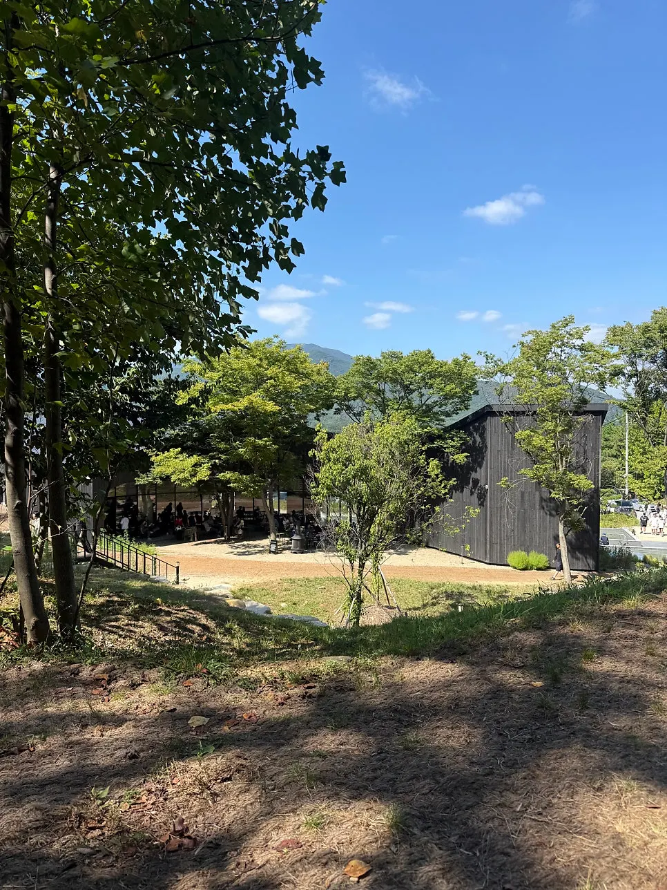 View of MUG's outdoor space