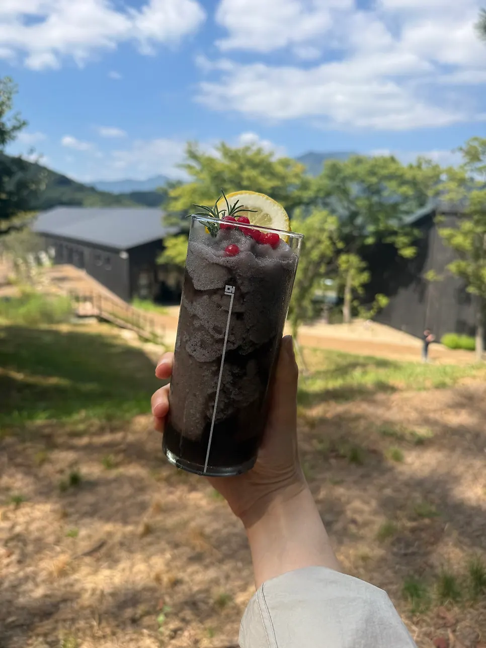 MUG's black-colored lemon smoothie