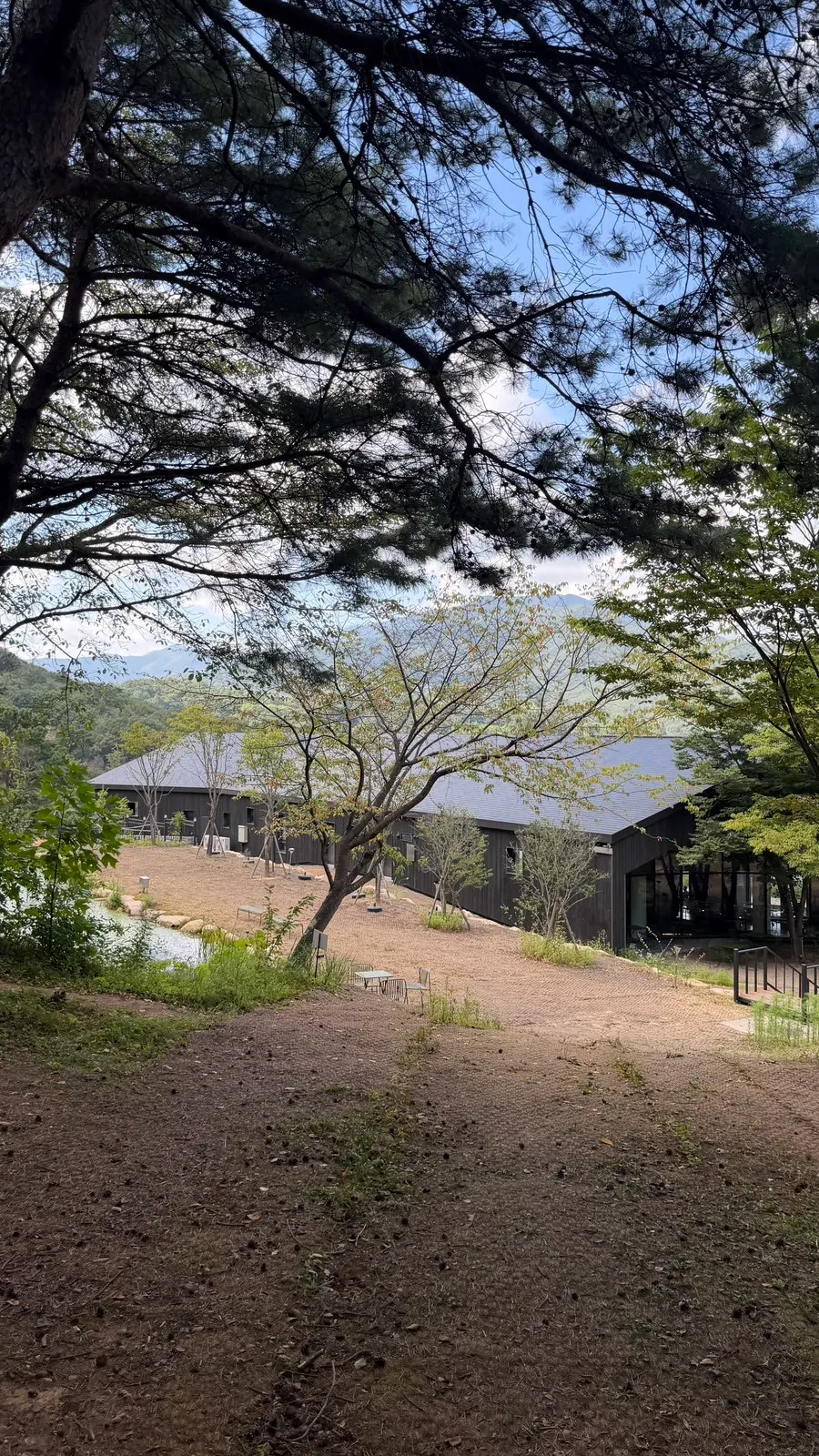 MUG's nature-friendly garden with a pond