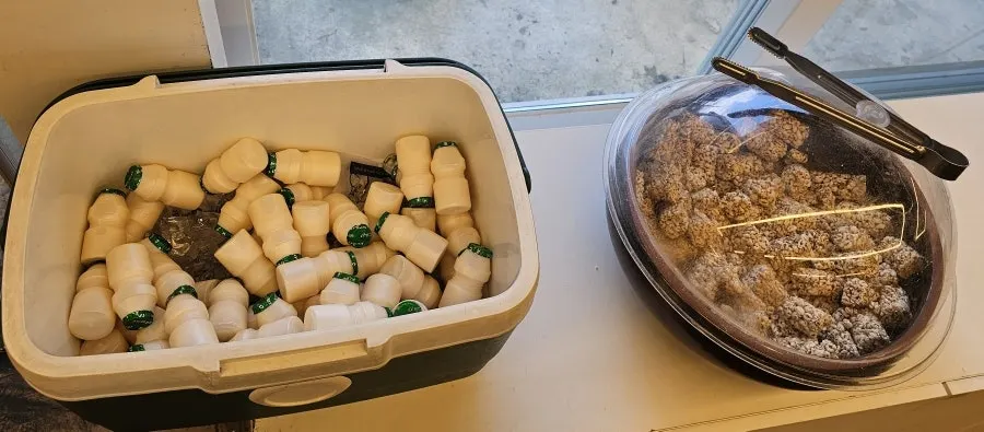 동그랗고 도톰한 수제 마카롱 멘보샤
