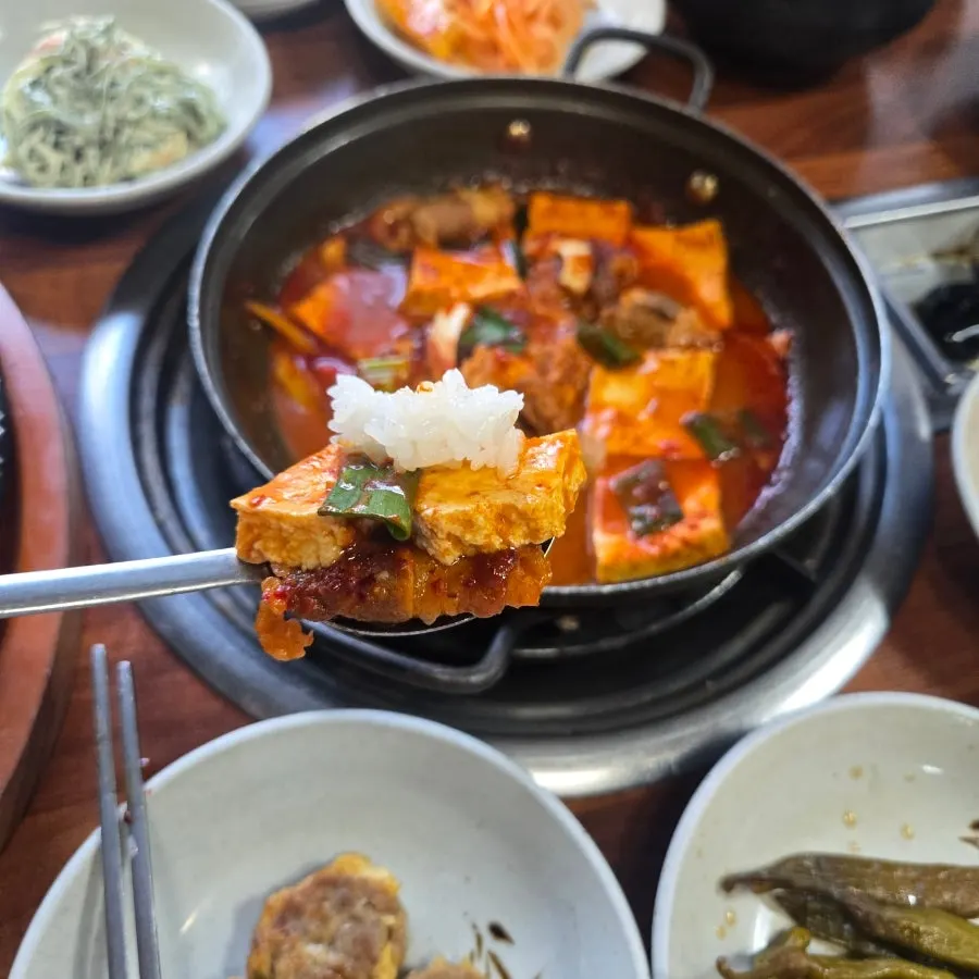 두부조림과 흰밥 한 그릇