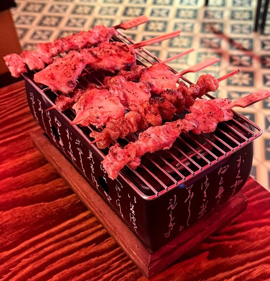 Brazier for warming skewers