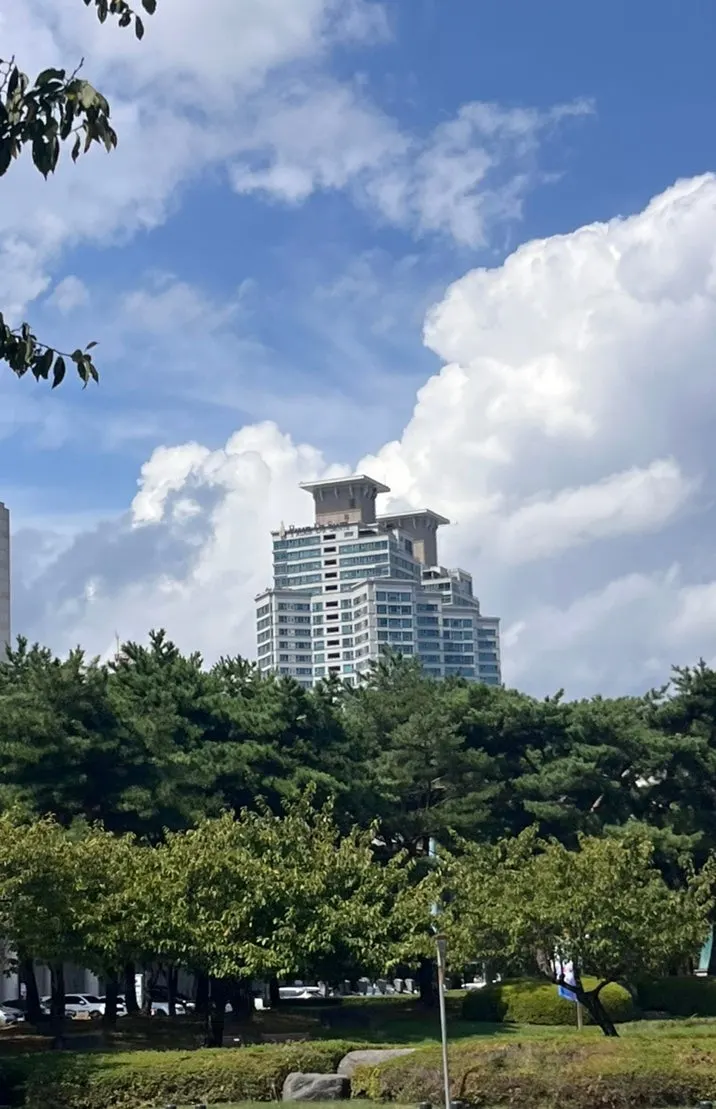 백호떡방 흑호떡 포장 컷