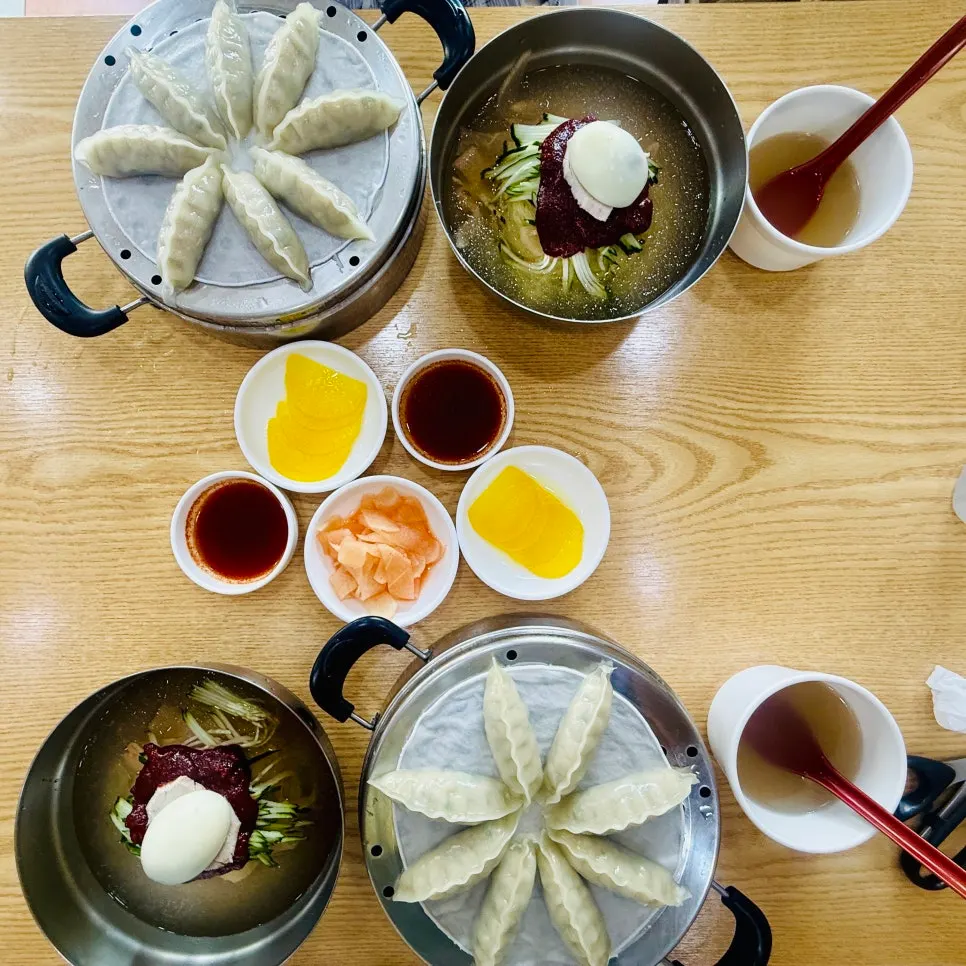 A bowl of mul milmyeon in cold broth